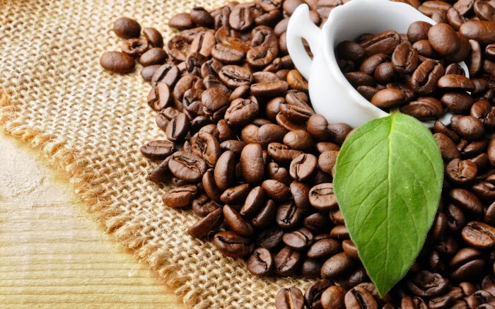 Culi - Tìm hiểu về nguồn gốc, ứng dụng và giá trị của loại cà phê đặc biệt này