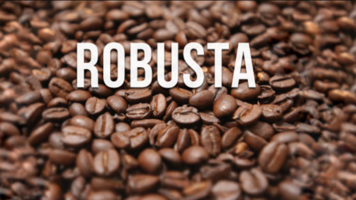 cà phê Robusta