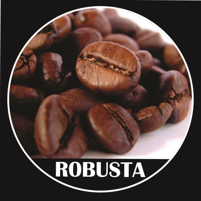 cà phê Robusta